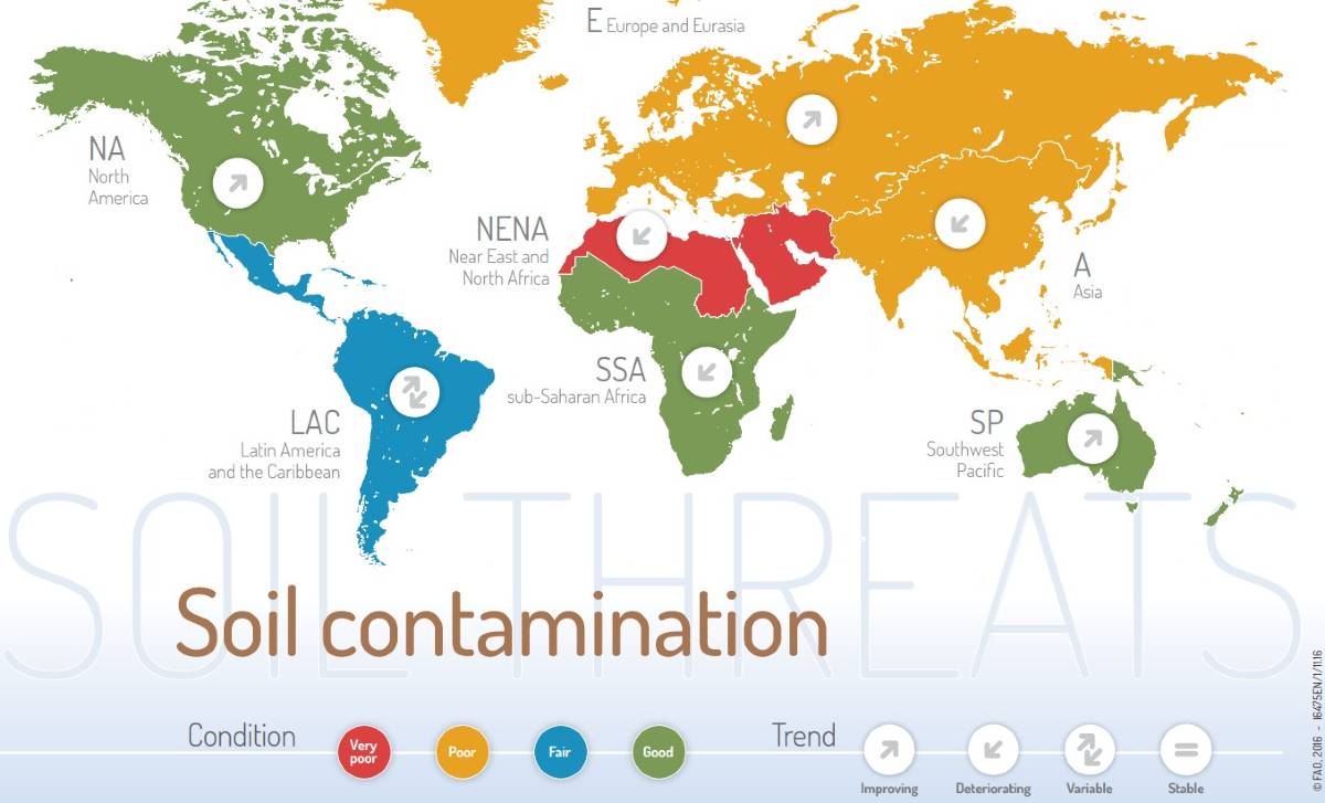 Soil contamination #WorldSoilDay