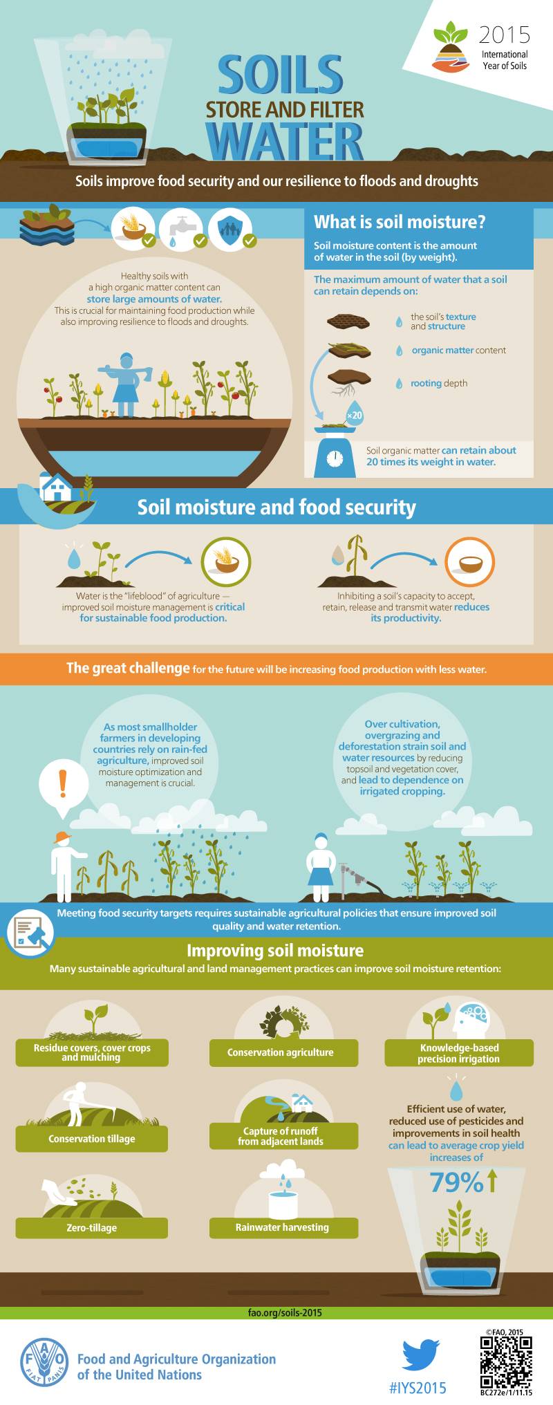 Soils Store and Filter Water #WorldSoilDay - #NaffordJunction